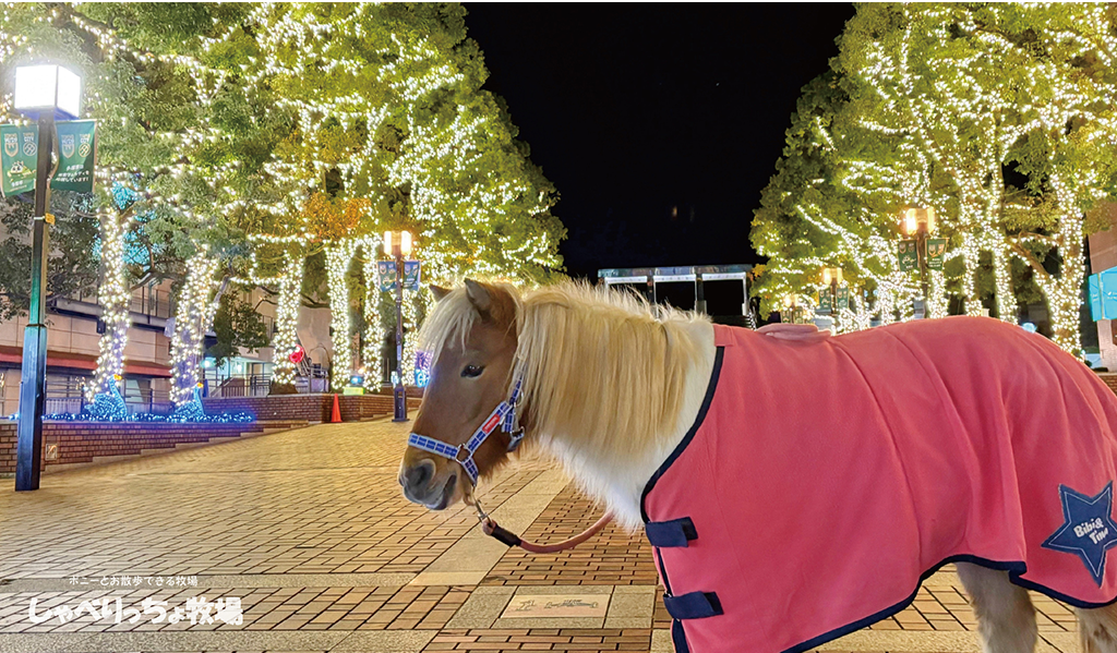 クリスマスはサンタ気分?!