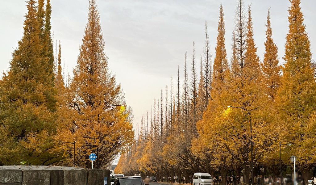 トラディショナル（伝統）と創造価値