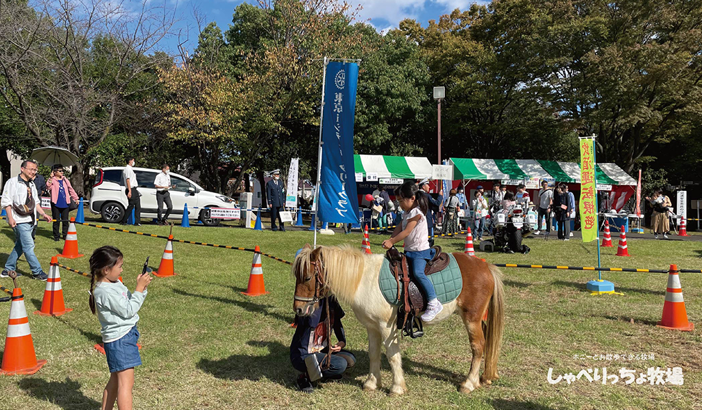 秋はイベントの季節です！