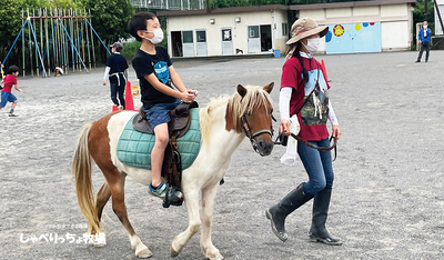 ポニーのお仕事『校庭で乗馬体験?!』