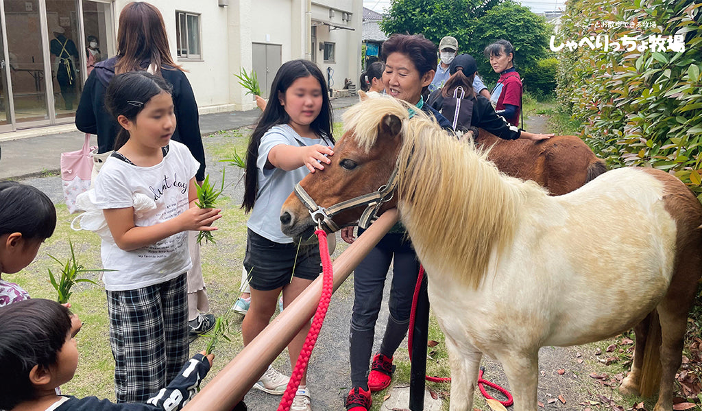 アルファ、児童館のお祭にゆく