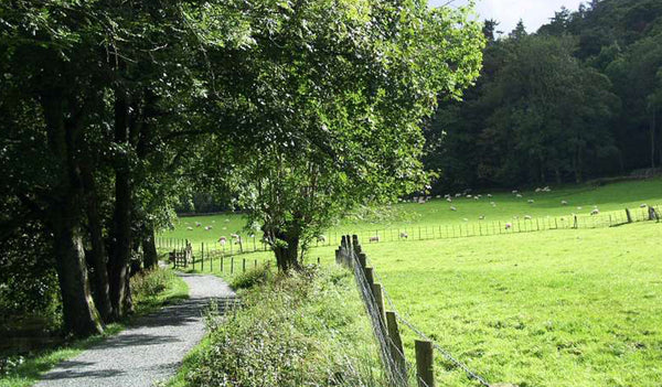 英国の道は楽しい。ＦＯＯＴ　ＰＡＴＨ、そしてＲＯＵＮＤ　ＡＢＯＵＴ