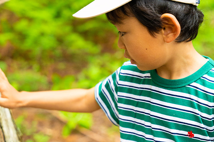 KIDS MEET POLOの森　第一章