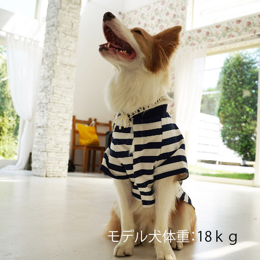 ブロックボーダーリブ衿シャツ